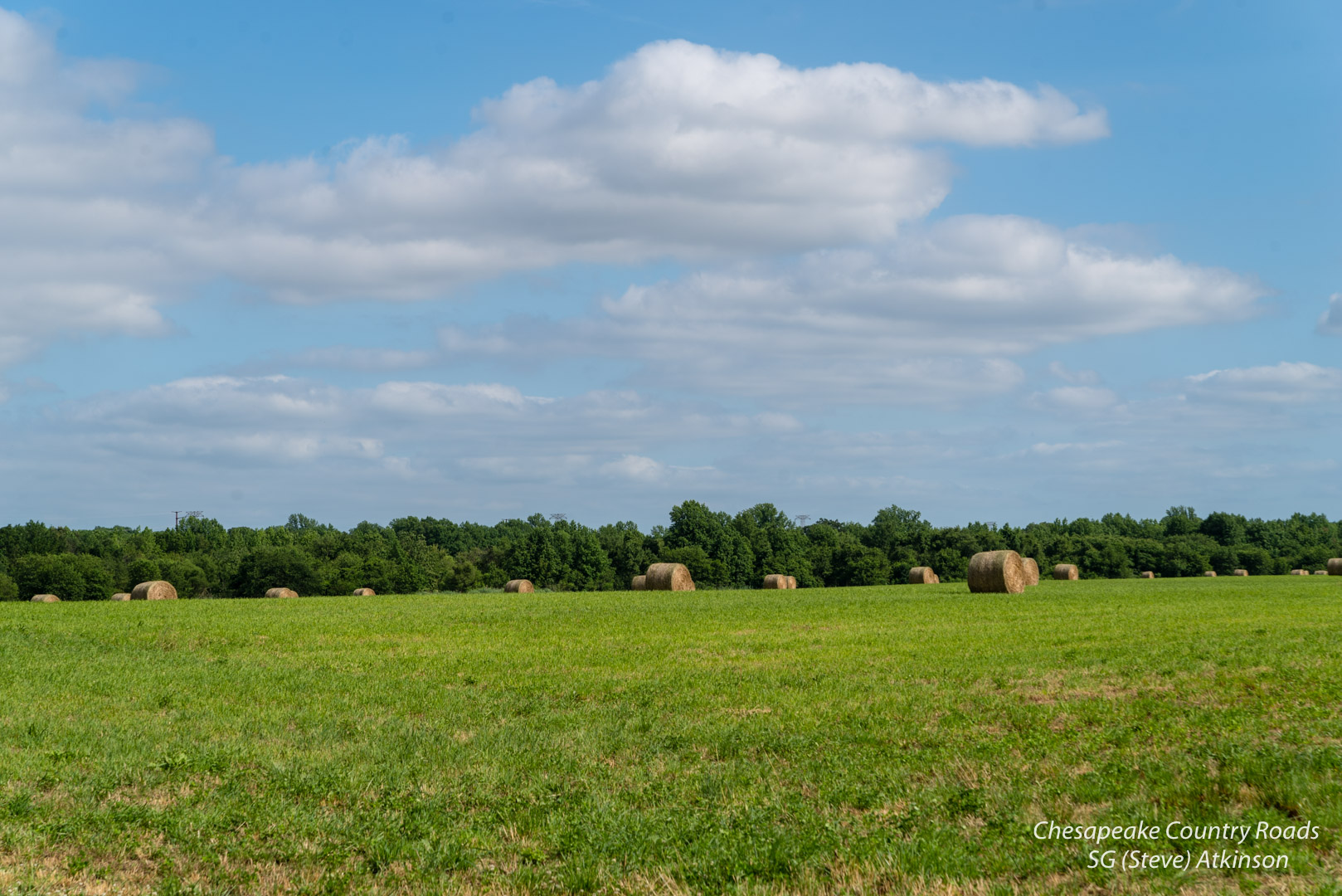 A Field of Hay