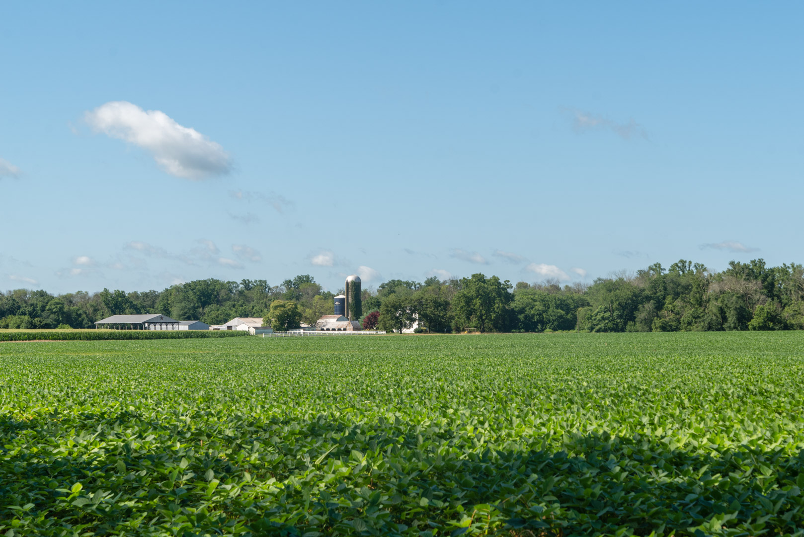 On the Farm