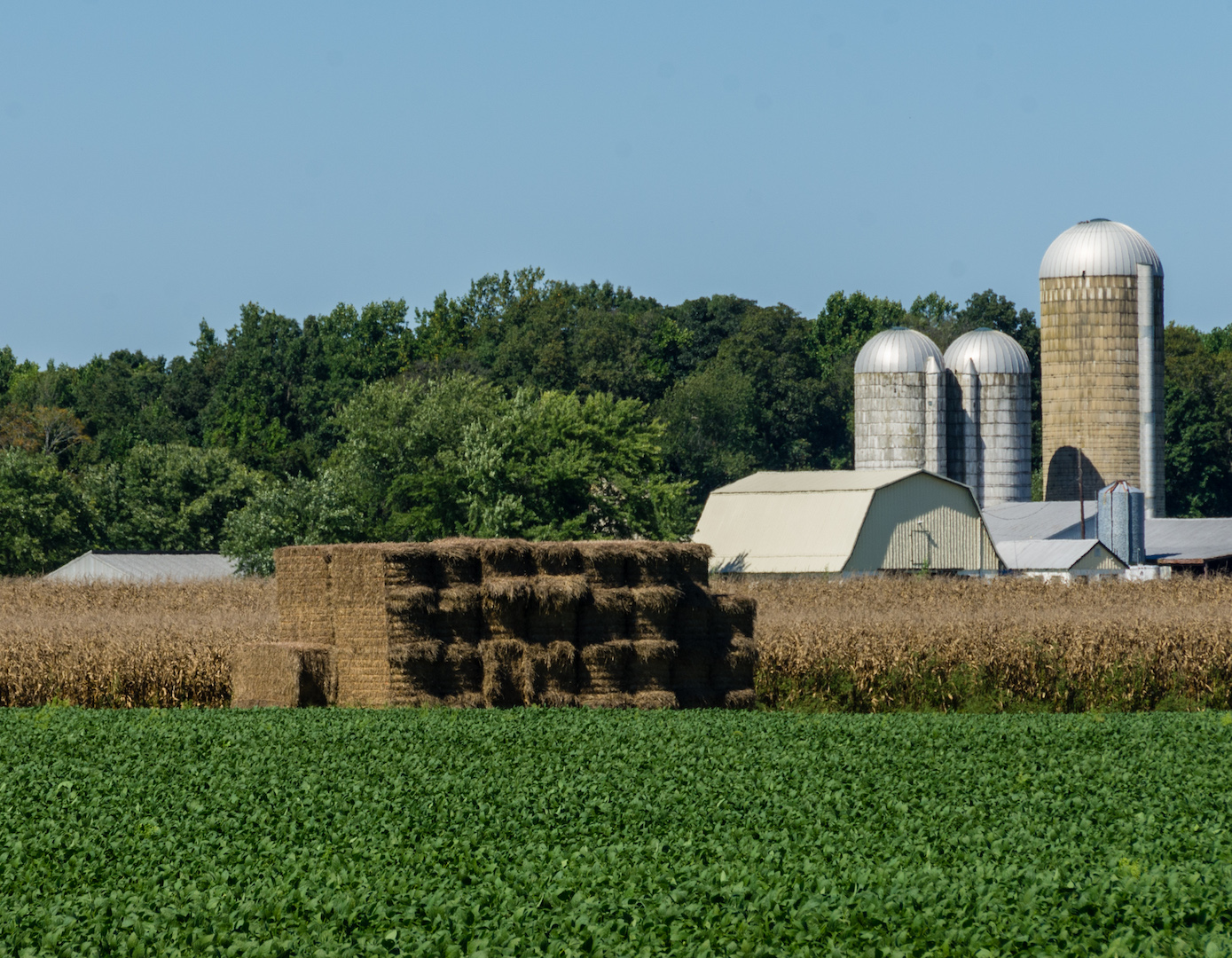 Three Crops