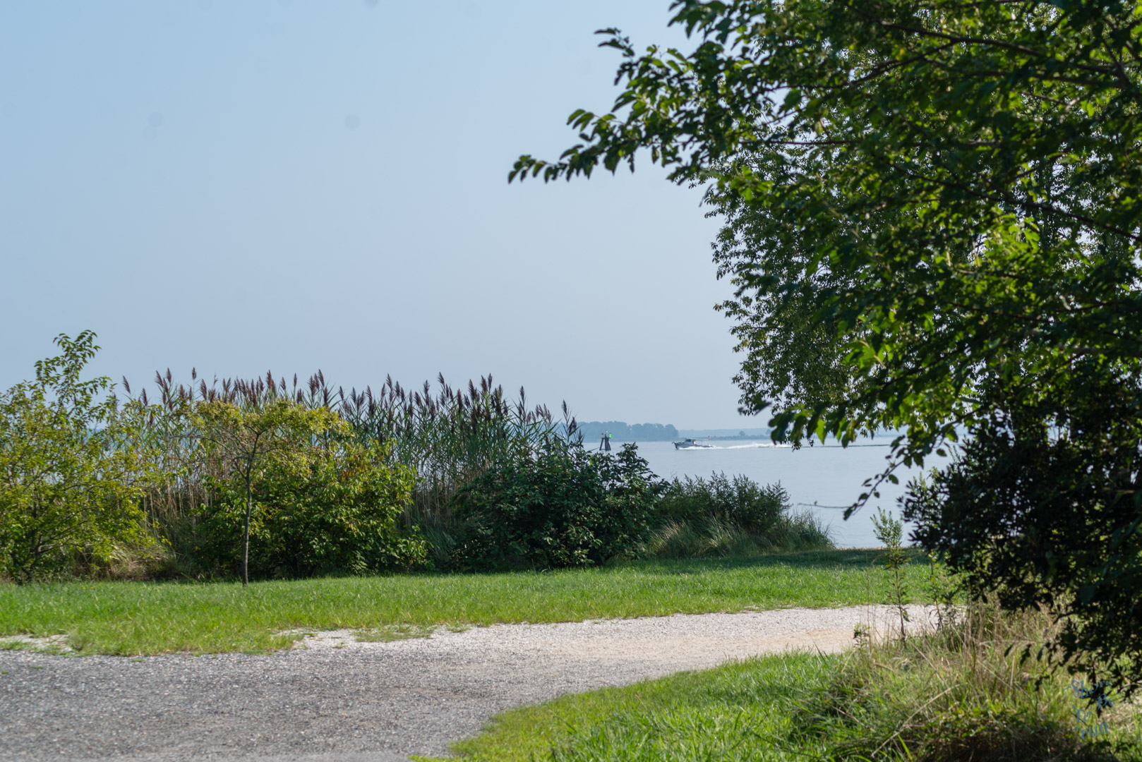 One the Beach Path