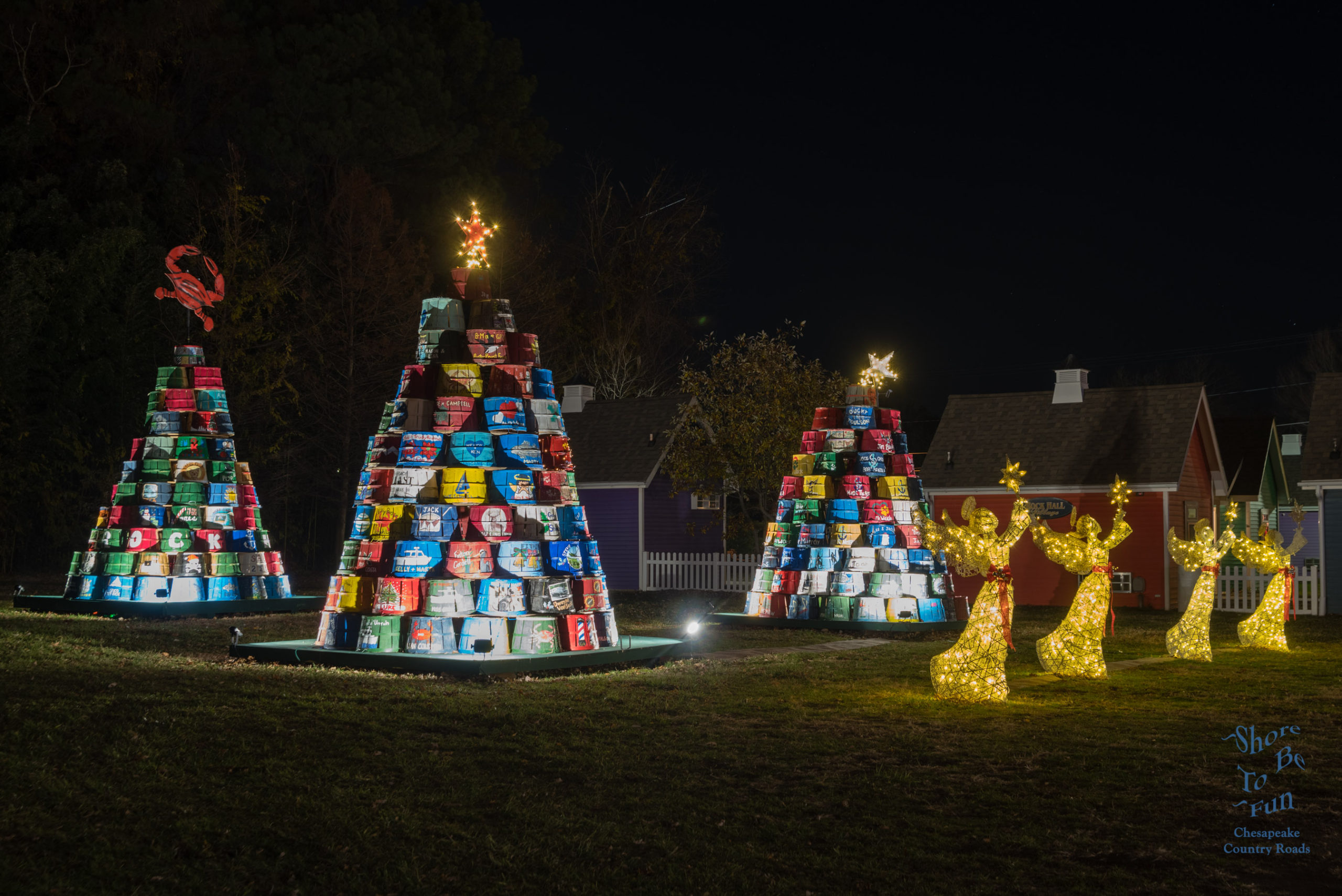 Rock Hall's Crab Basket Trees at Night