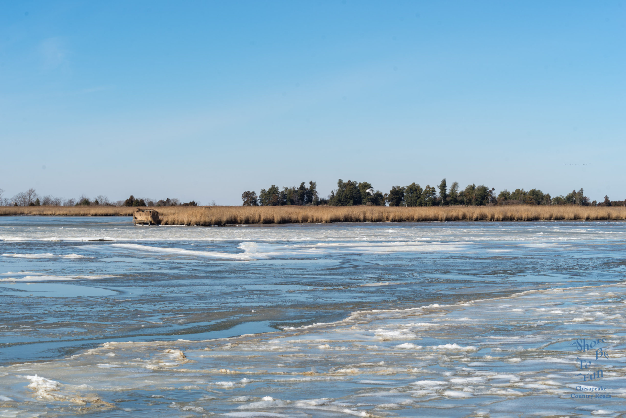 Eastern Neck Ice