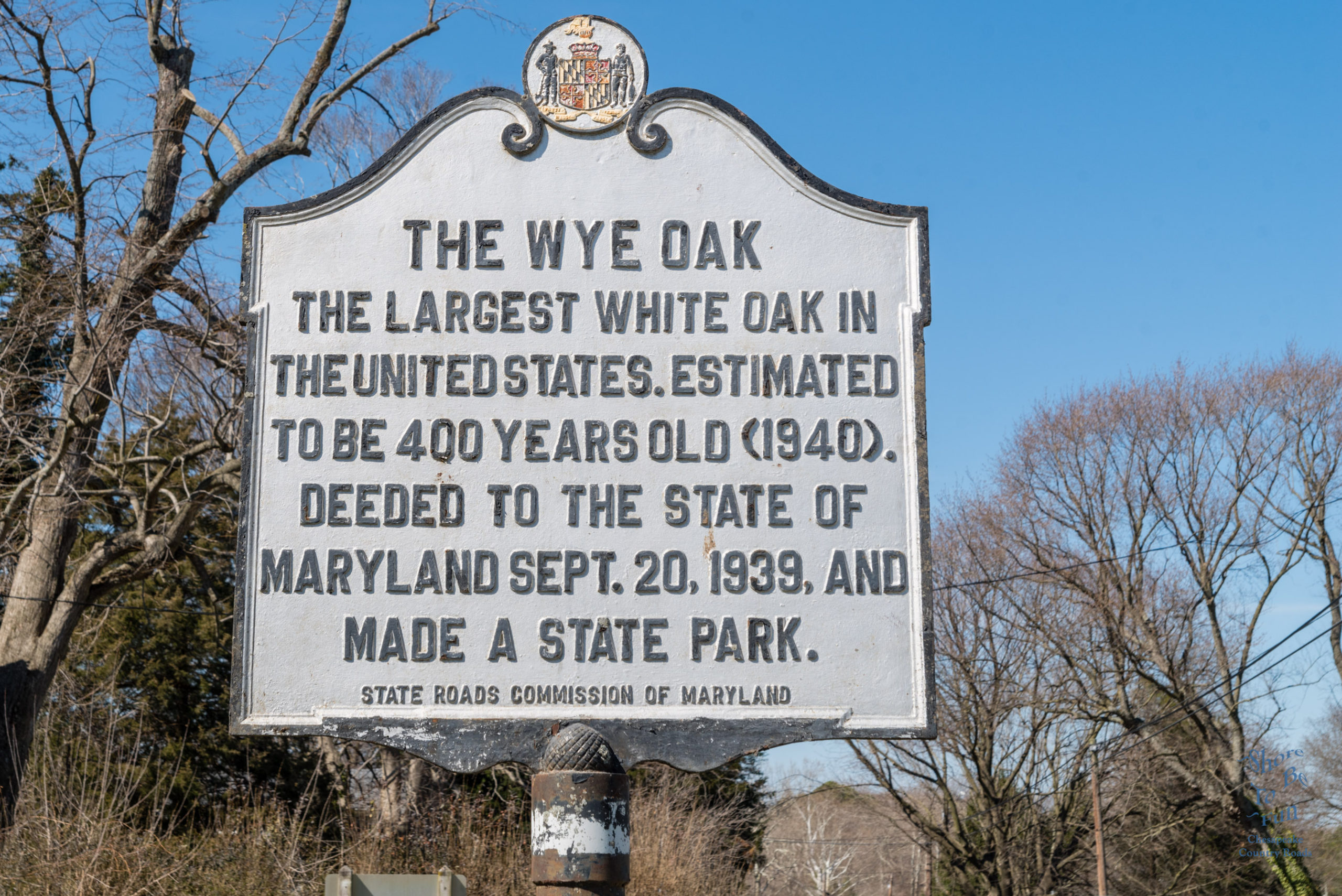 Highway Historical Marker - Wye Oak