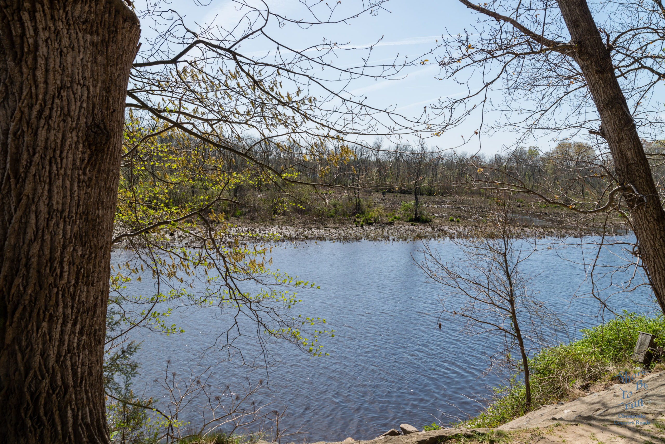 A Park View