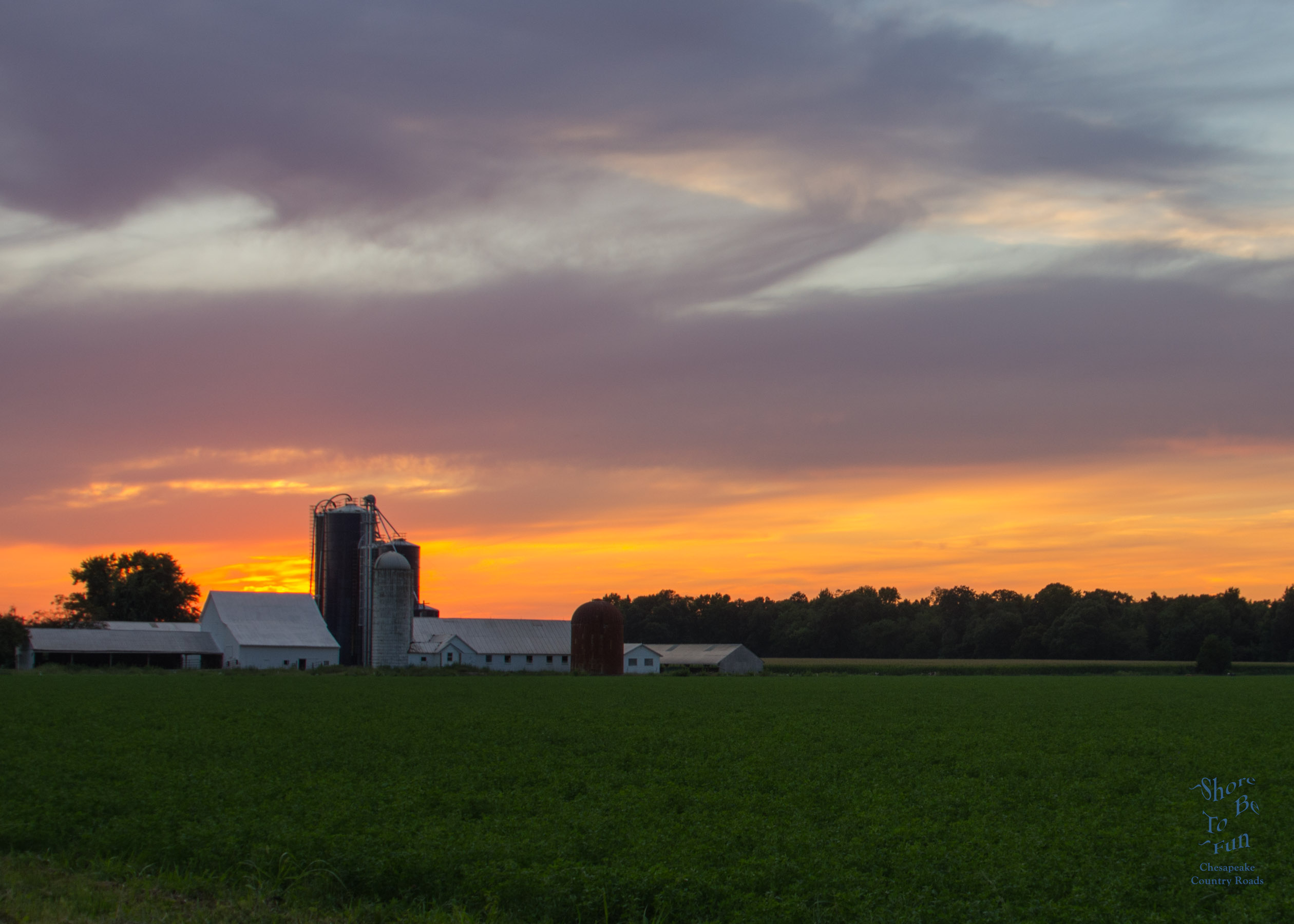 A Farm Sunset