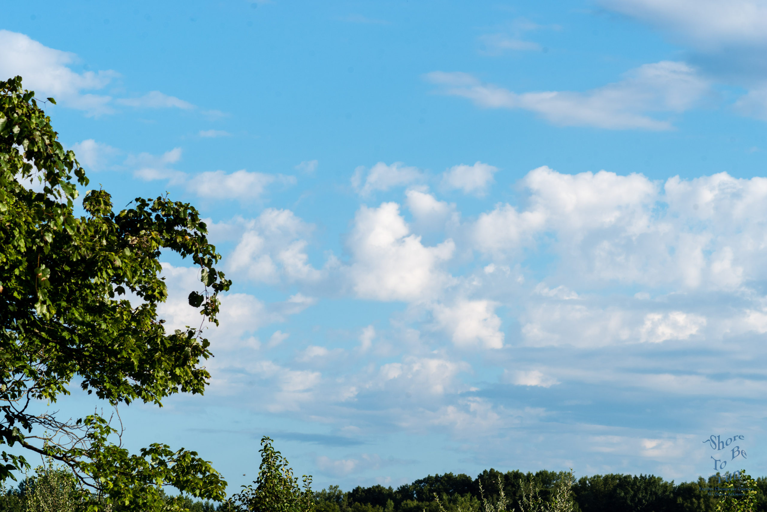 Home Clouds