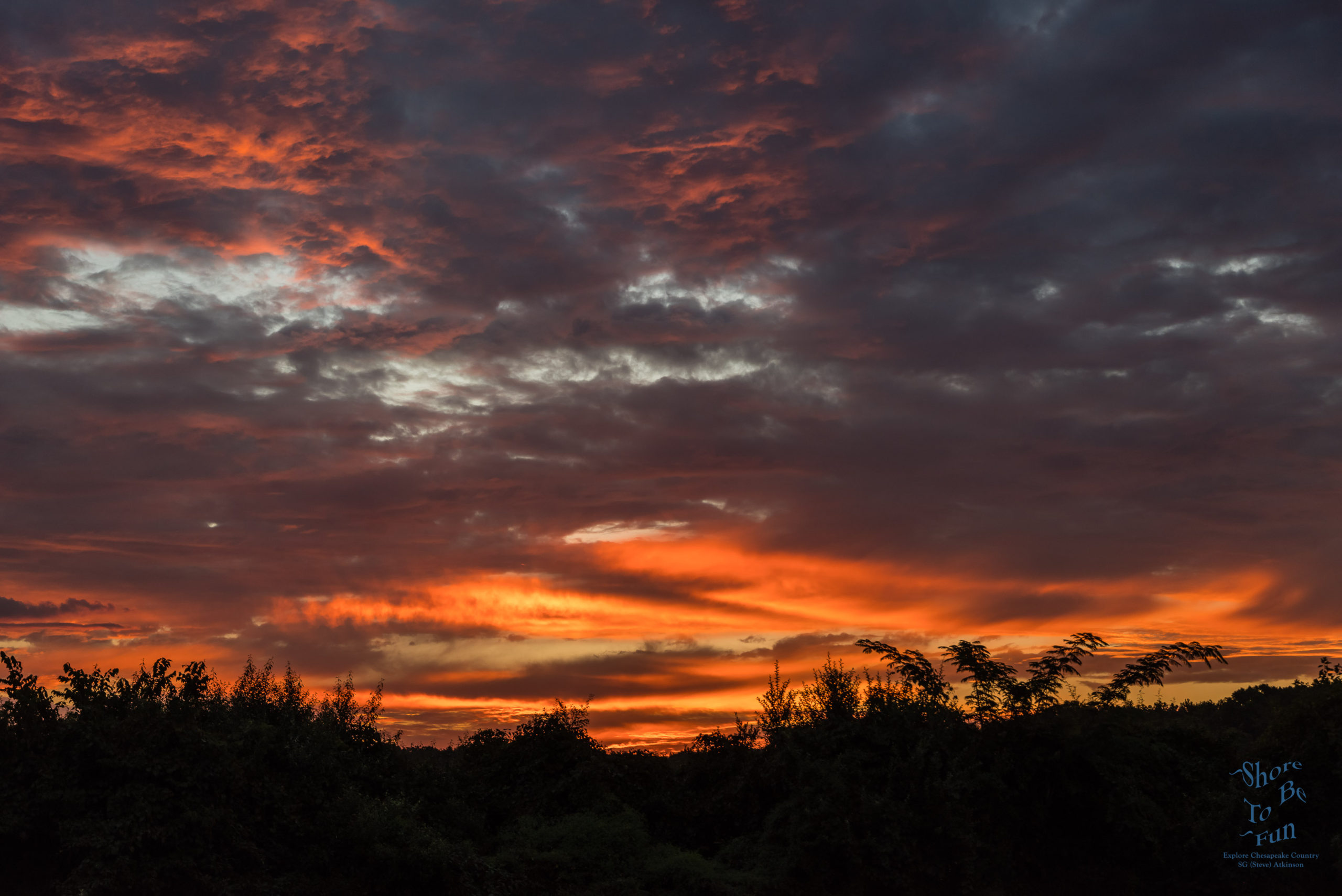 Autumn Arrival Sunrise