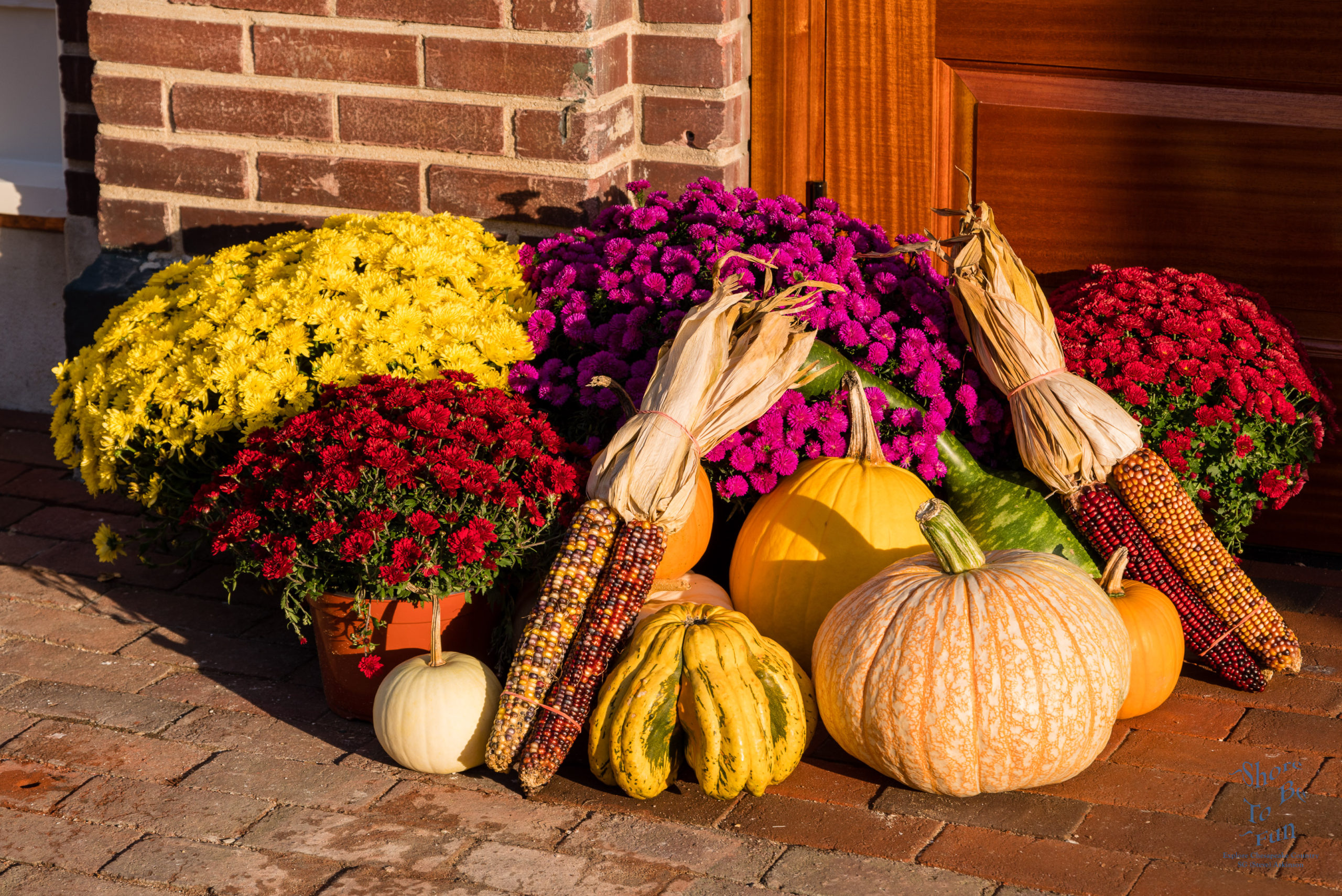 Autumn Decoration in Chestertown