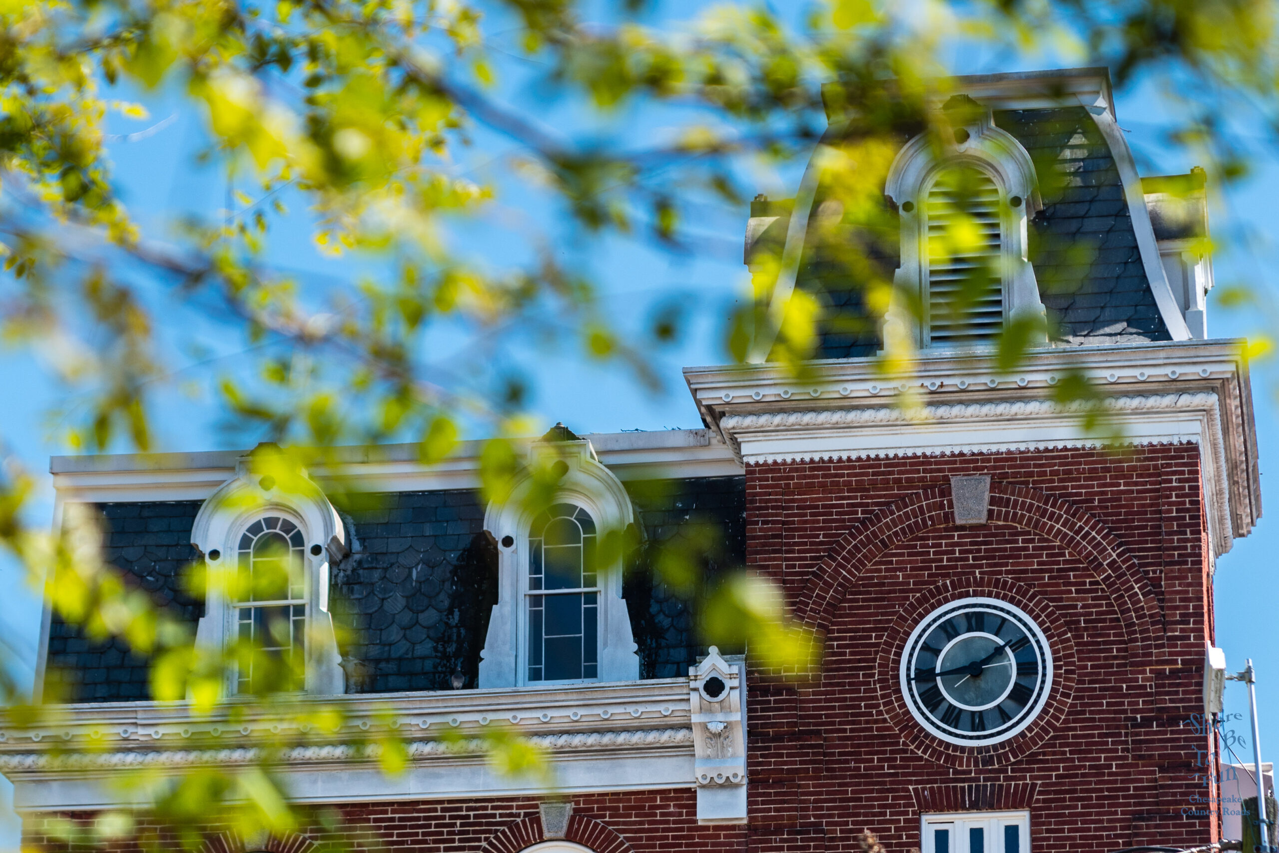 The Clock in Chestertown, MD - Chesapeake Country Photograph by SG (Steve) Atkinson