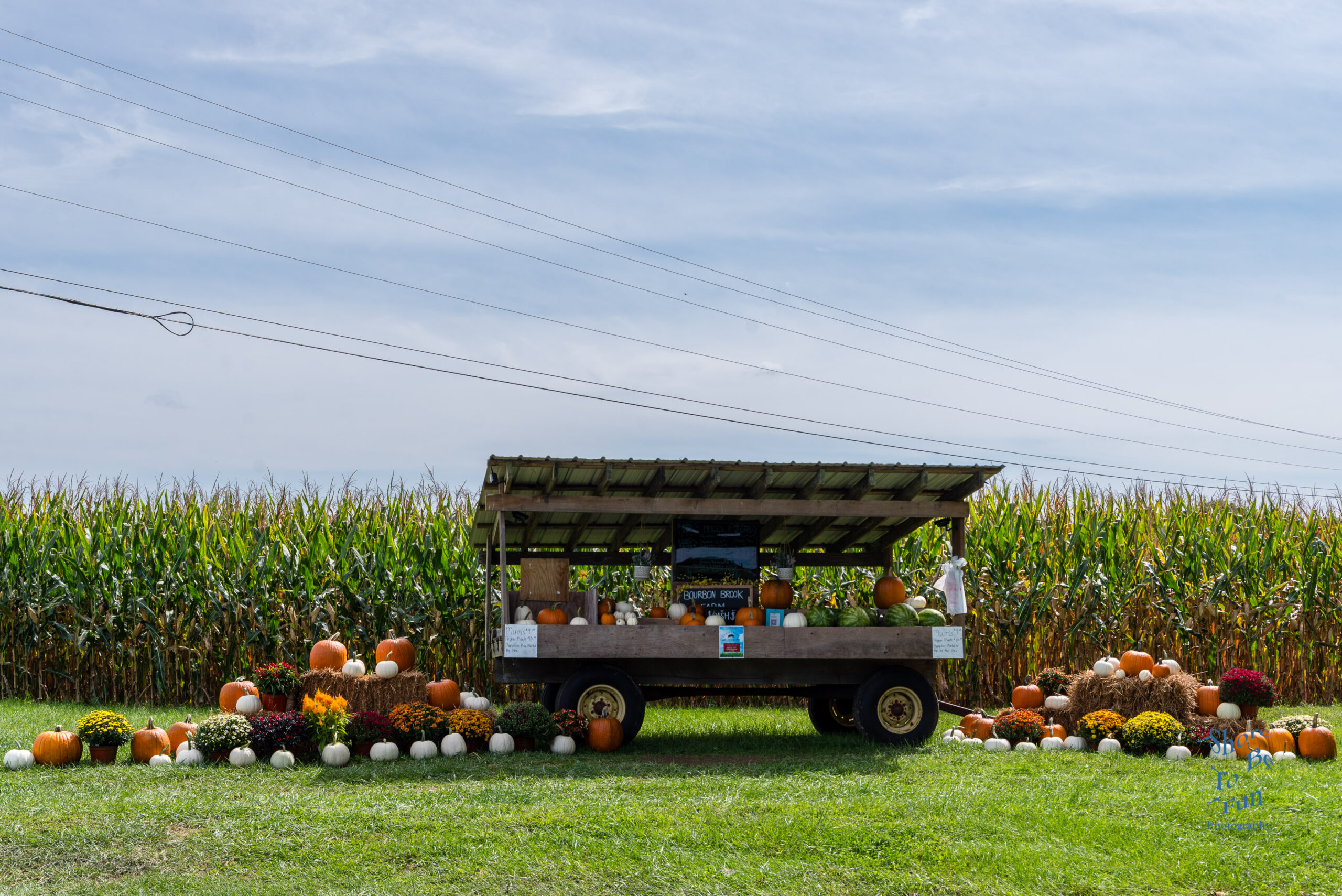 Roadside Produce Stand - Bourbon Brook Farm, Queen Anne's County